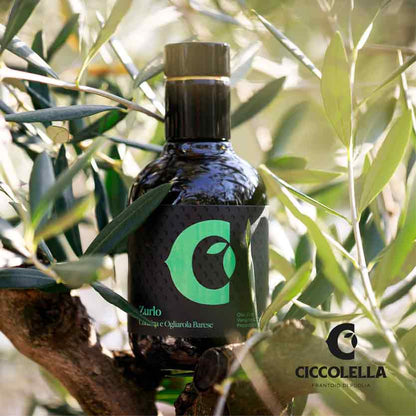 Olivenölflasche von Ciccolella zwischen Olivenzweigen.
