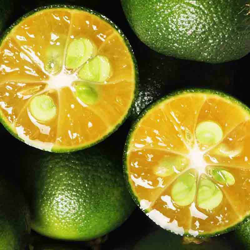 Aufgeschnittene Calamansi-Orangen.