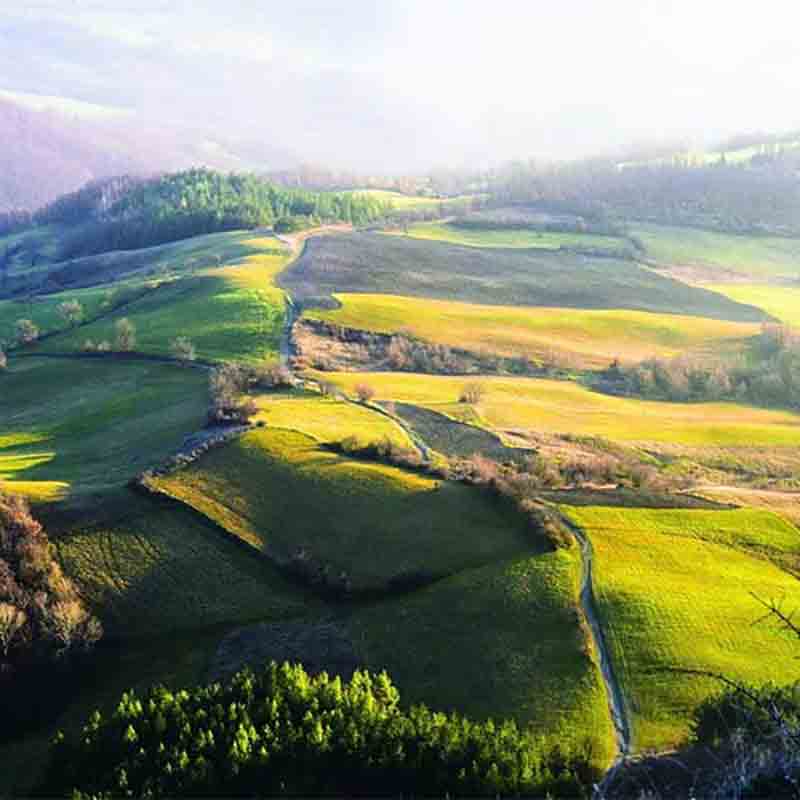 Hügelige Landschaft bei Sonnenaufgang.