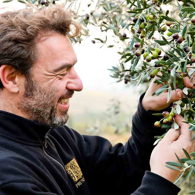 Pruneti L'Alleato Bio - mittel-fruchtig aus der Toskana