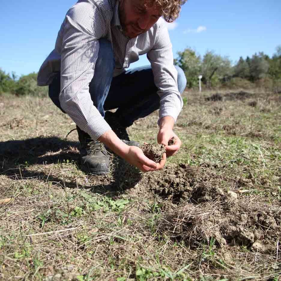 Pruneti L'Alleato Bio - mittel-fruchtig aus der Toskana