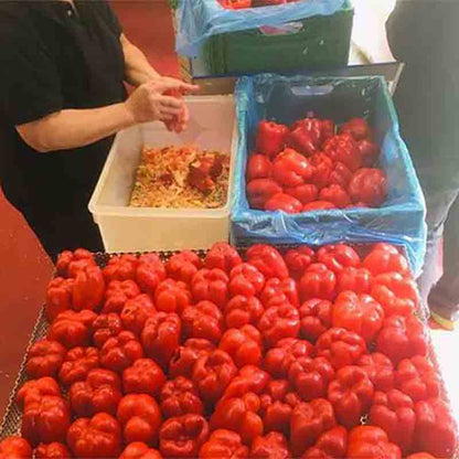 Rote Paprika in Kisten sortiert.