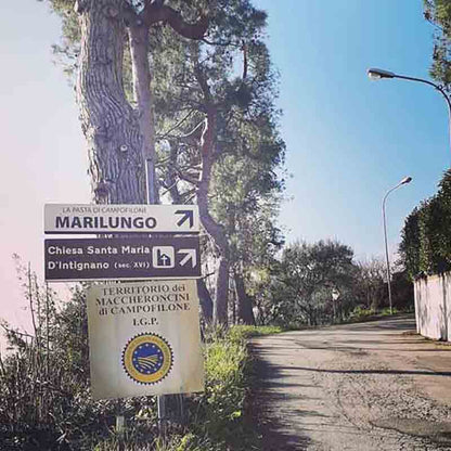 Straßenschild mit Bäumen und Weg.