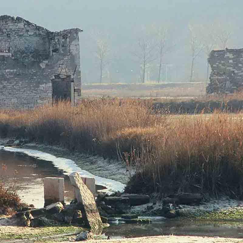 Stimmungsvolle Ruinen im Naturpark Piran