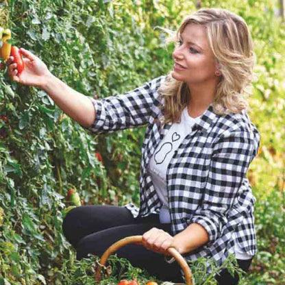 Diana von Italianavera pflückt San Marzano Tomaten vom Strauch.