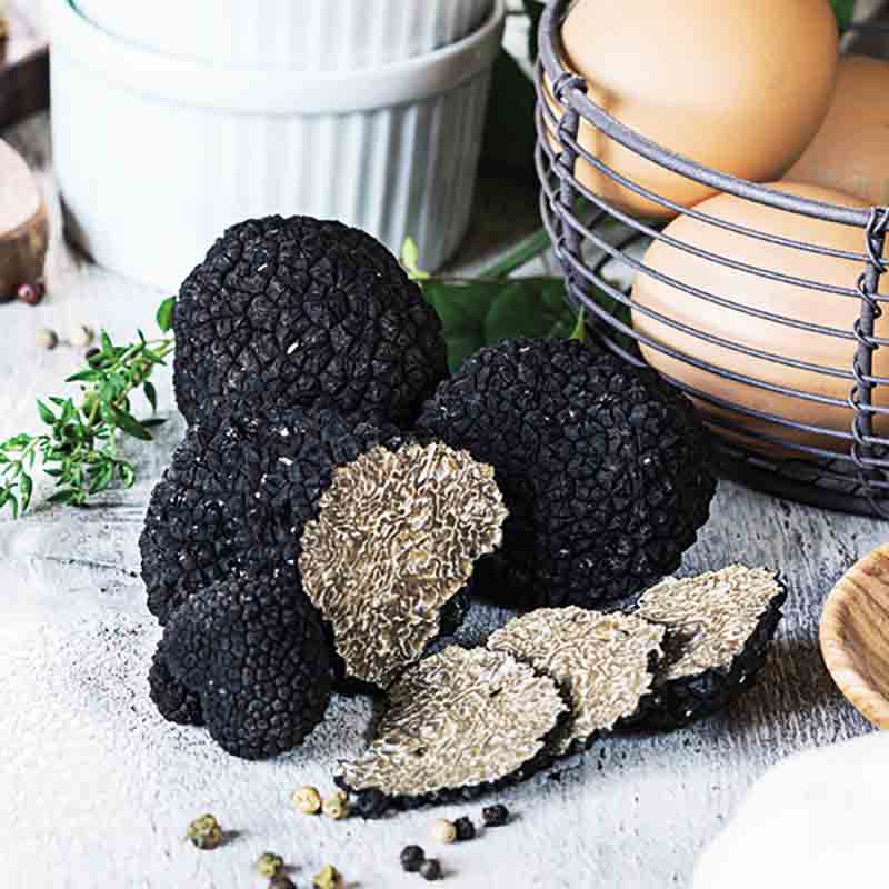 Schwarze Trüffel, Eier, Kräuter auf hellem Untergrund arrangiert.