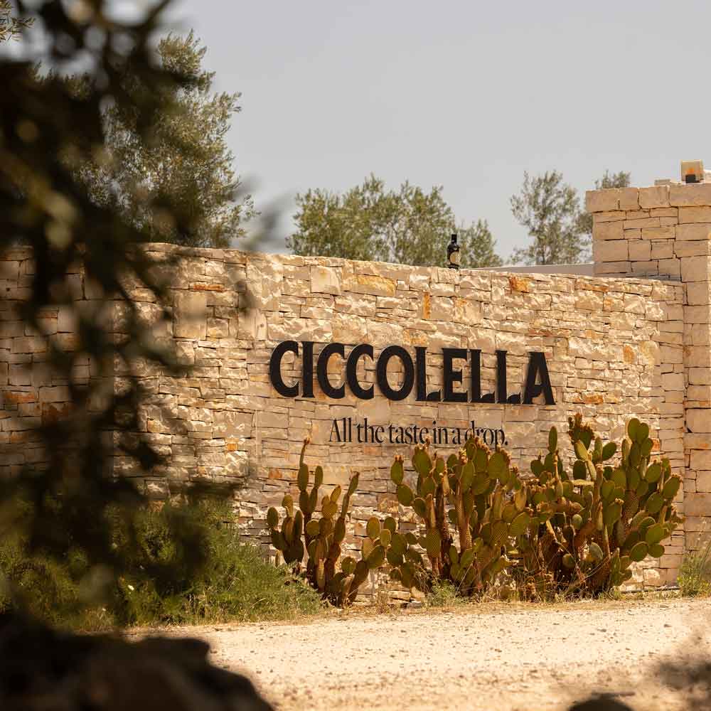 Ciccolella Cagnara D.O.P. Terra di Bari - Olio Award Siegeröl 2026