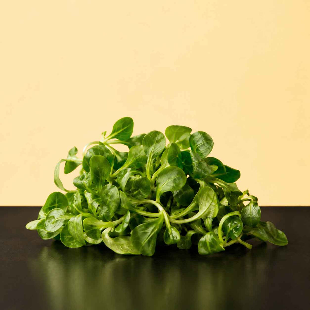 Feldsalat