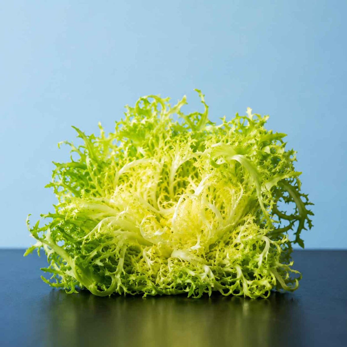 Frisee-Salat