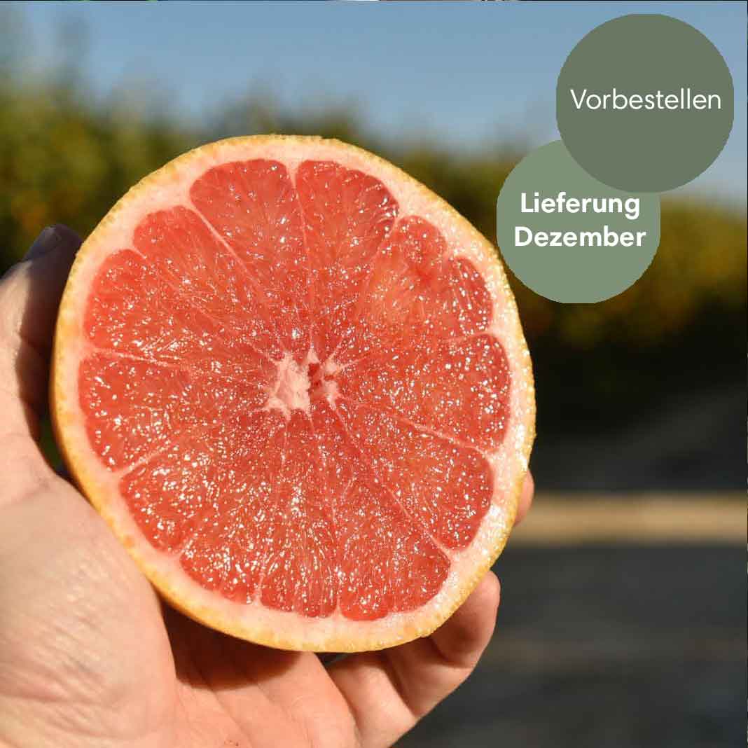 Pink Grapefruit aus Sizilien BIO