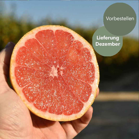Pink Grapefruit aus Sizilien BIO