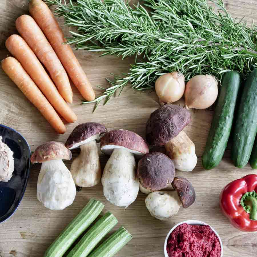 Karotten, Steinpilze, Rosmarin, Zwiebeln, Gurken, Paprika, Zucchini.