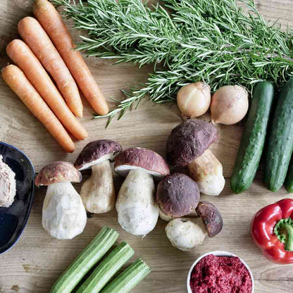 Karotten, Steinpilze, Rosmarin, Zwiebeln, Gurken, Paprika, Zucchini.